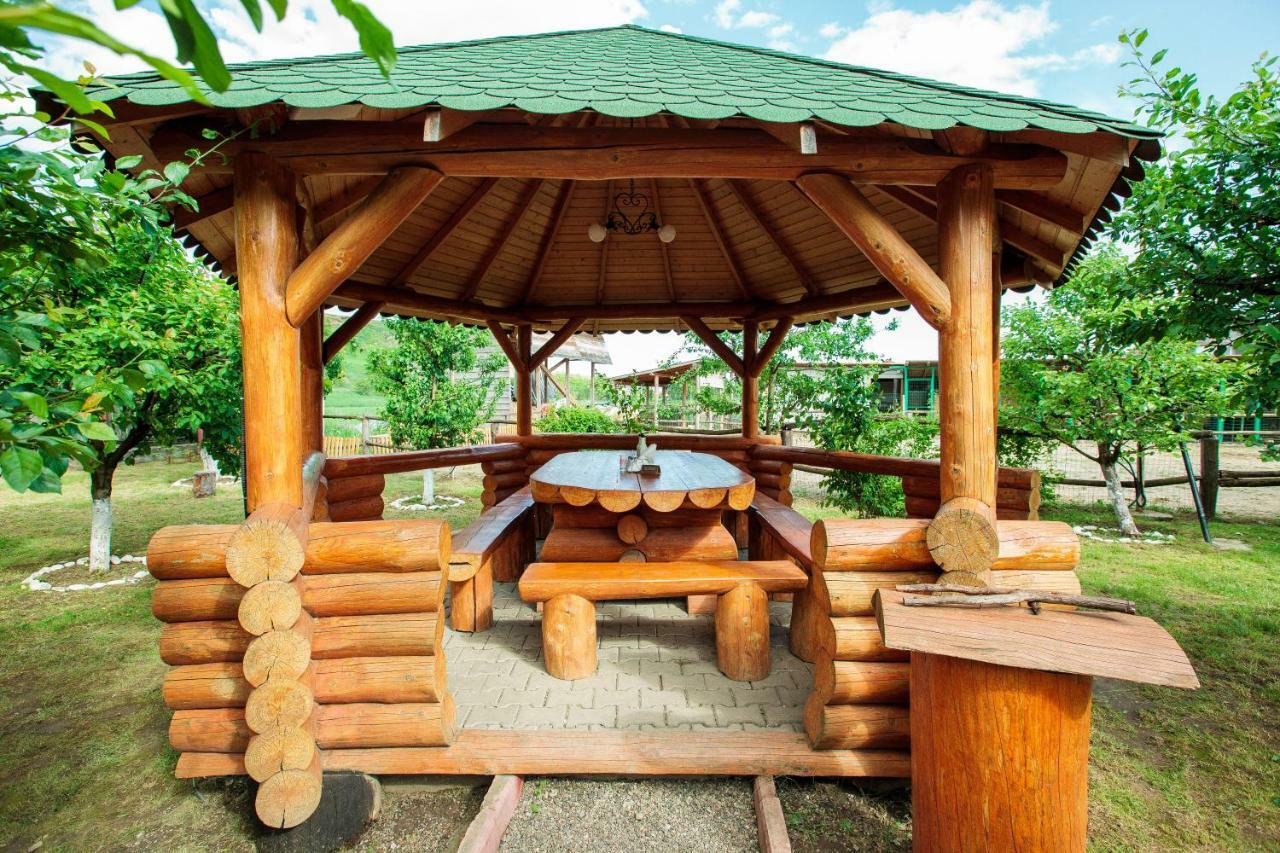 Magic Garden By Vladut Hotel Bákó Kültér fotó